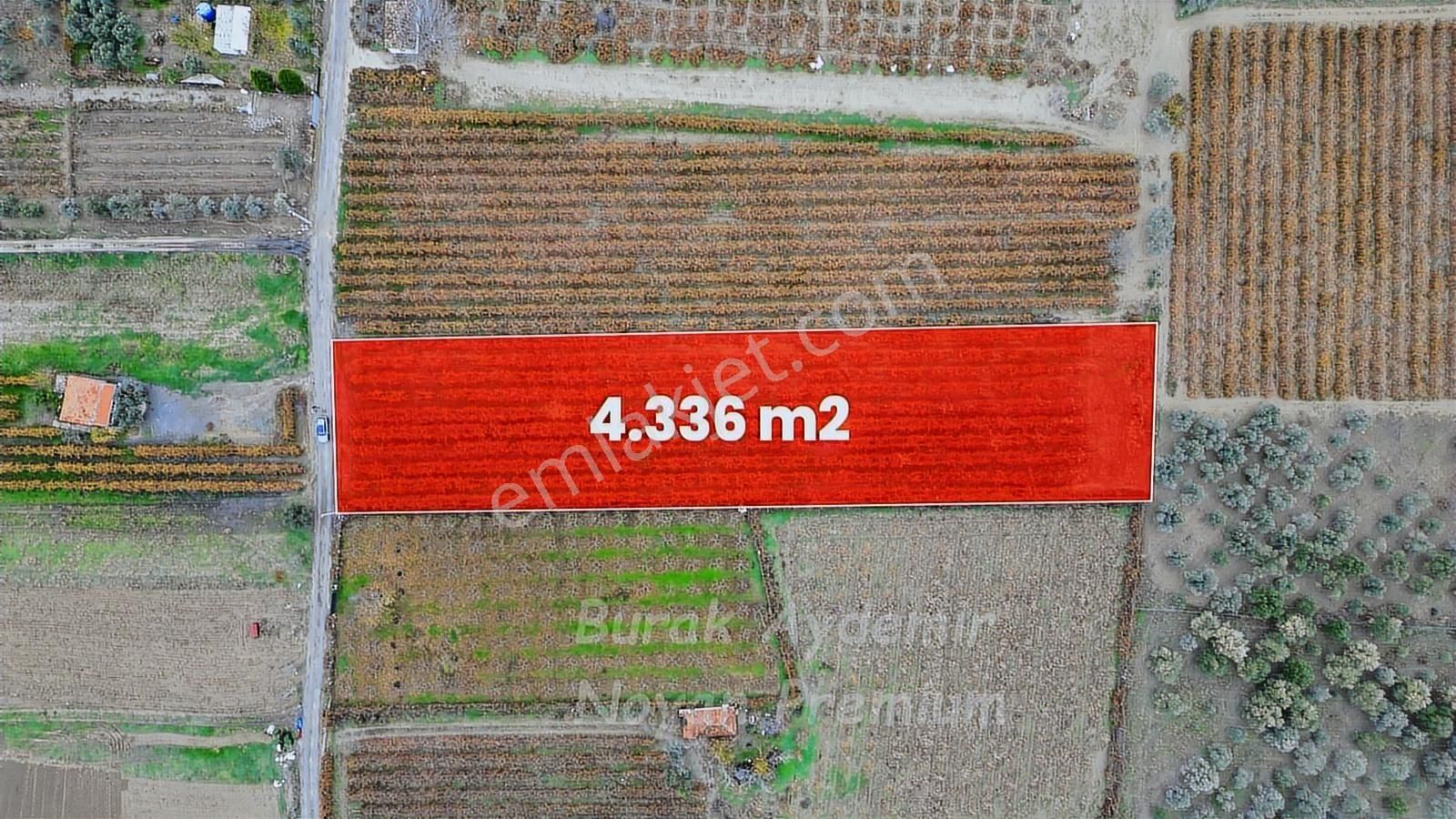 Kemalpaşa 85. Yıl Cumhuriyet Mah. 4336 M2 Satılık Bağ - Görsel 6