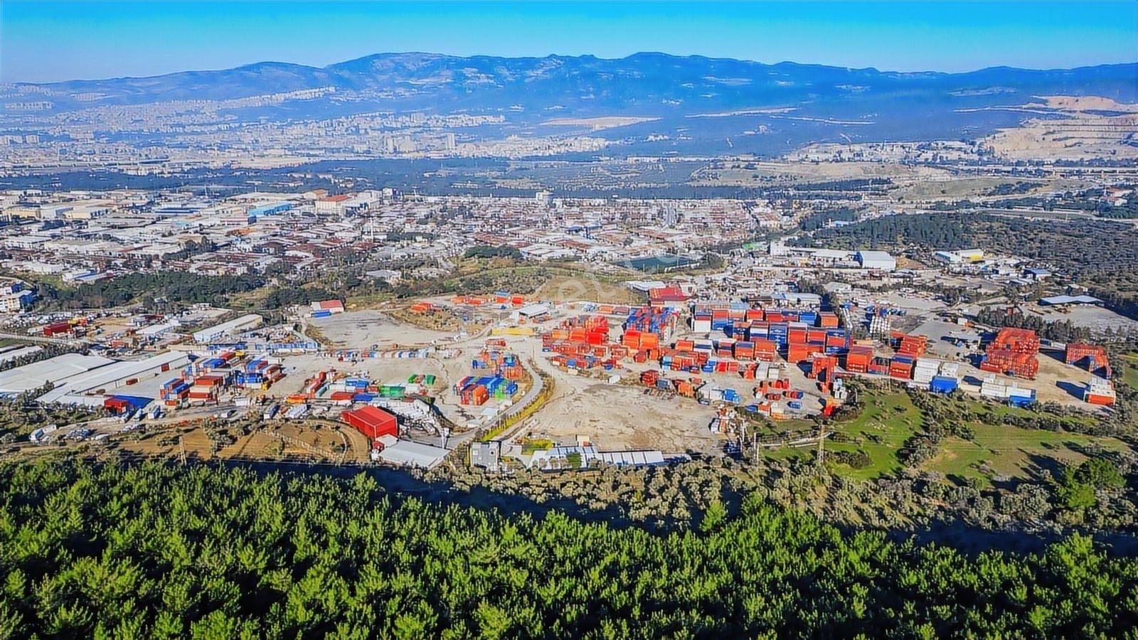 Bornova Pınarbaşı'nda 13.000 M² Satılık Fırsat Zeytinlik - Görsel 15