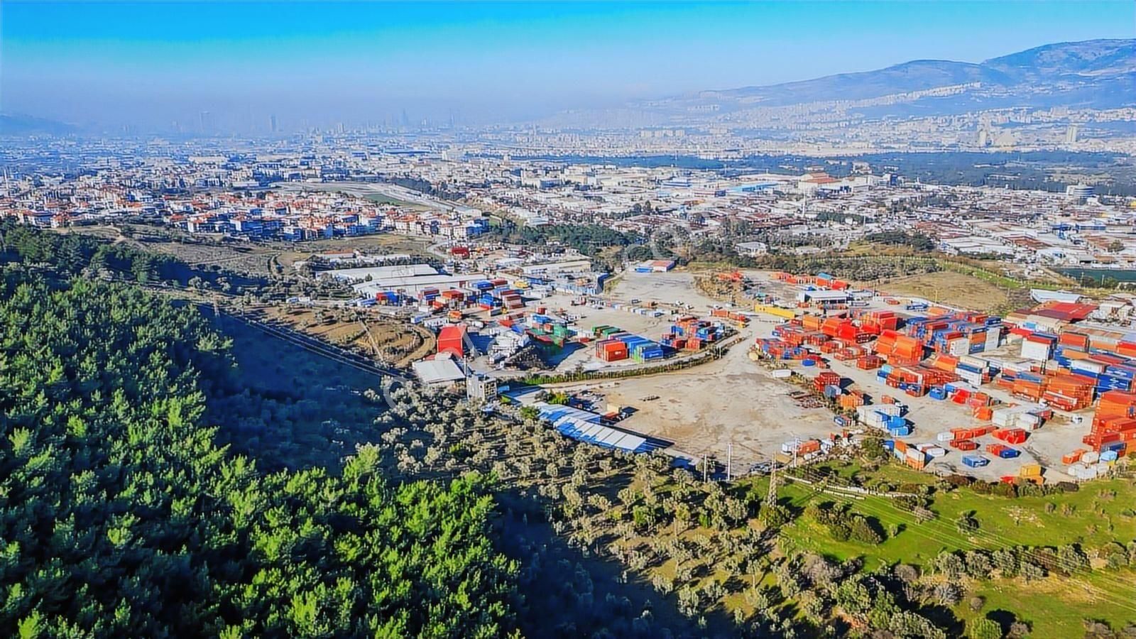 Bornova Pınarbaşı'nda 13.000 M² Satılık Fırsat Zeytinlik - Görsel 4