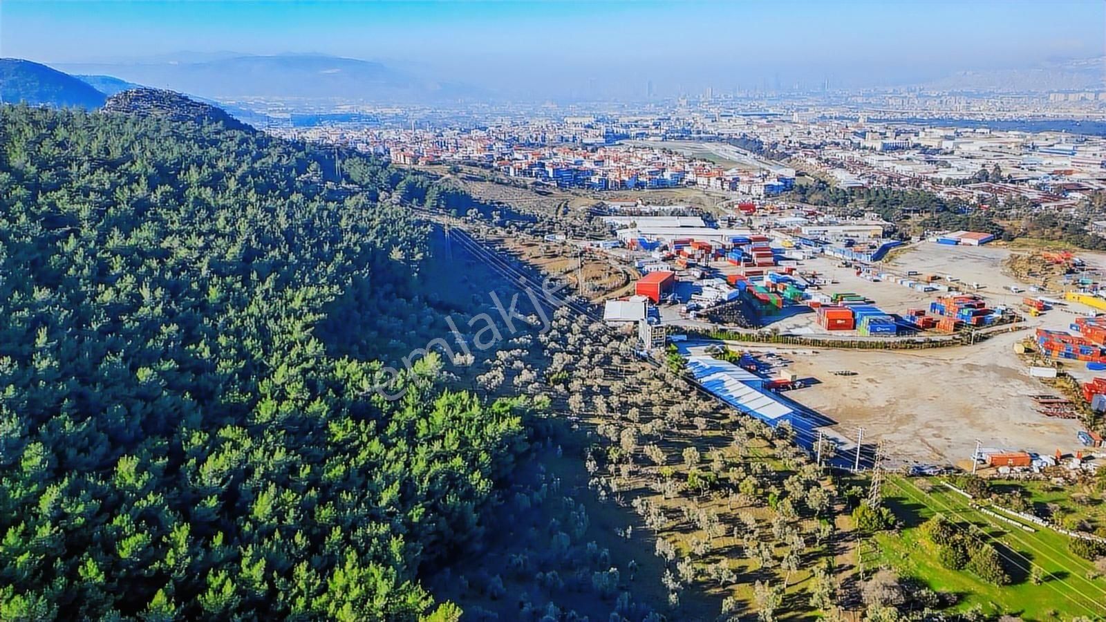 Bornova Pınarbaşı'nda 13.000 M² Satılık Fırsat Zeytinlik - Görsel 14