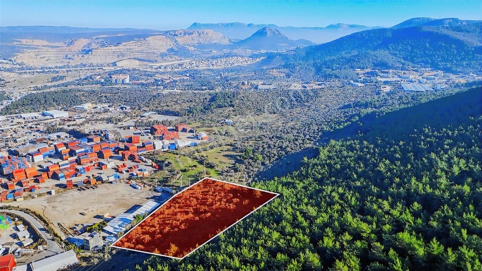 Bornova Pınarbaşı'nda 13.000 M² Satılık Fırsat Zeytinlik - Görsel 2