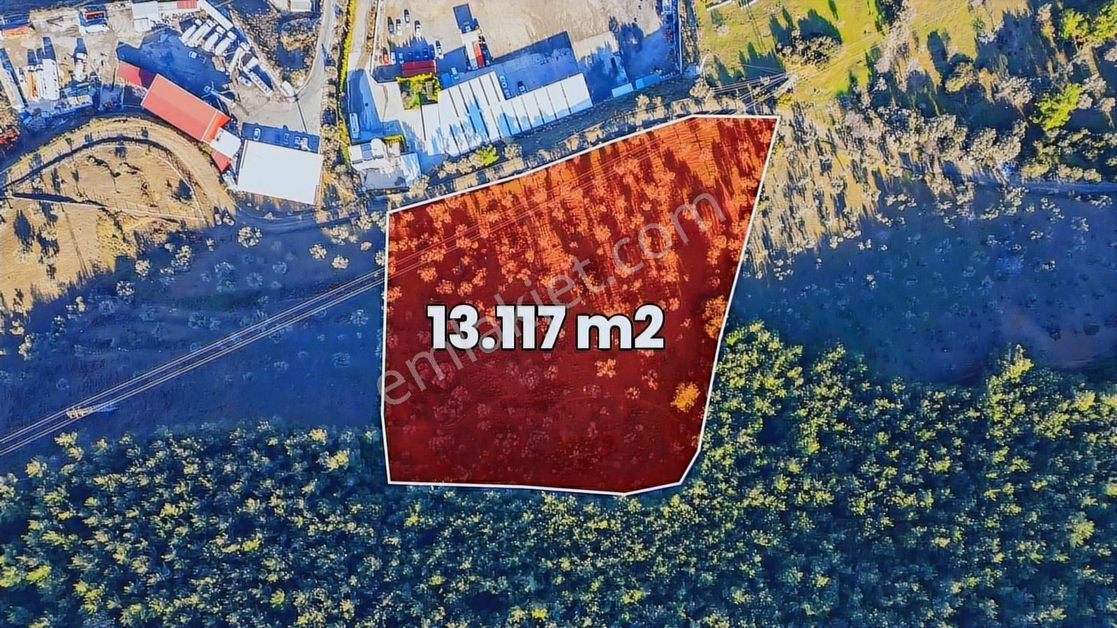 Bornova Pınarbaşı'nda 13.000 M² Satılık Fırsat Zeytinlik - Görsel 9