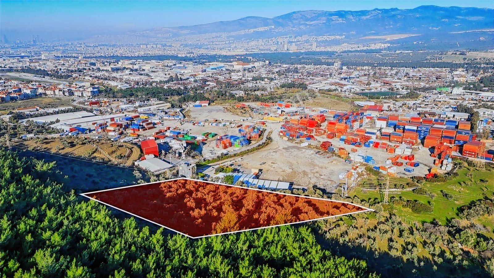 Bornova Pınarbaşı'nda 13.000 M² Satılık Fırsat Zeytinlik - Görsel 6