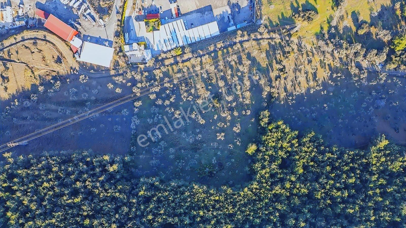 Bornova Pınarbaşı'nda 13.000 M² Satılık Fırsat Zeytinlik - Görsel 12