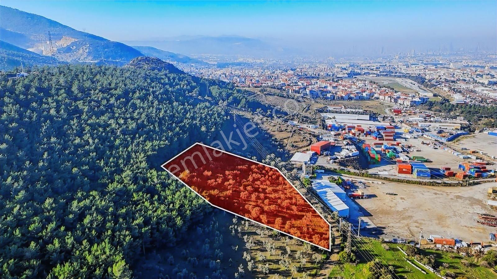 Bornova Pınarbaşı'nda 13.000 M² Satılık Fırsat Zeytinlik - Görsel 11