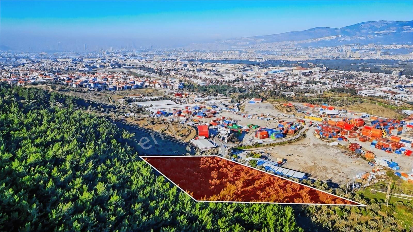Bornova Pınarbaşı'nda 13.000 M² Satılık Fırsat Zeytinlik - Görsel 13