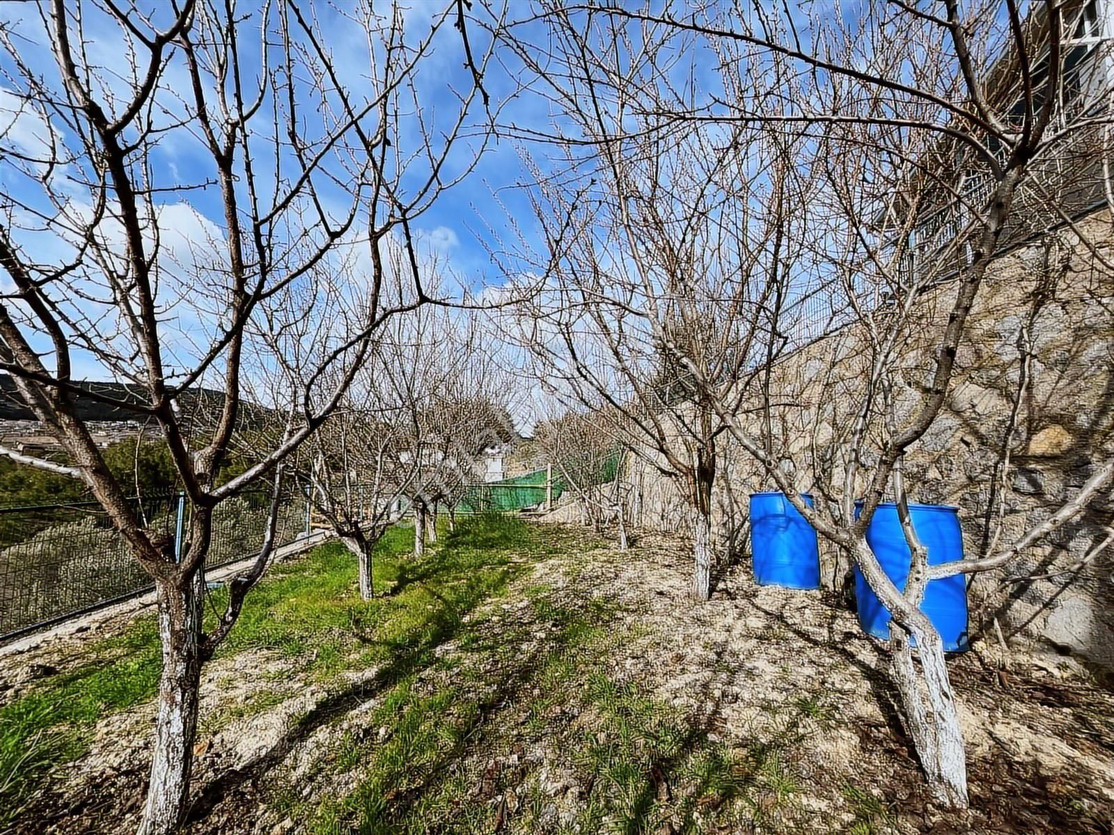 Noyan Premiumdan Fırsat Çiftlik Evi - Görsel 20