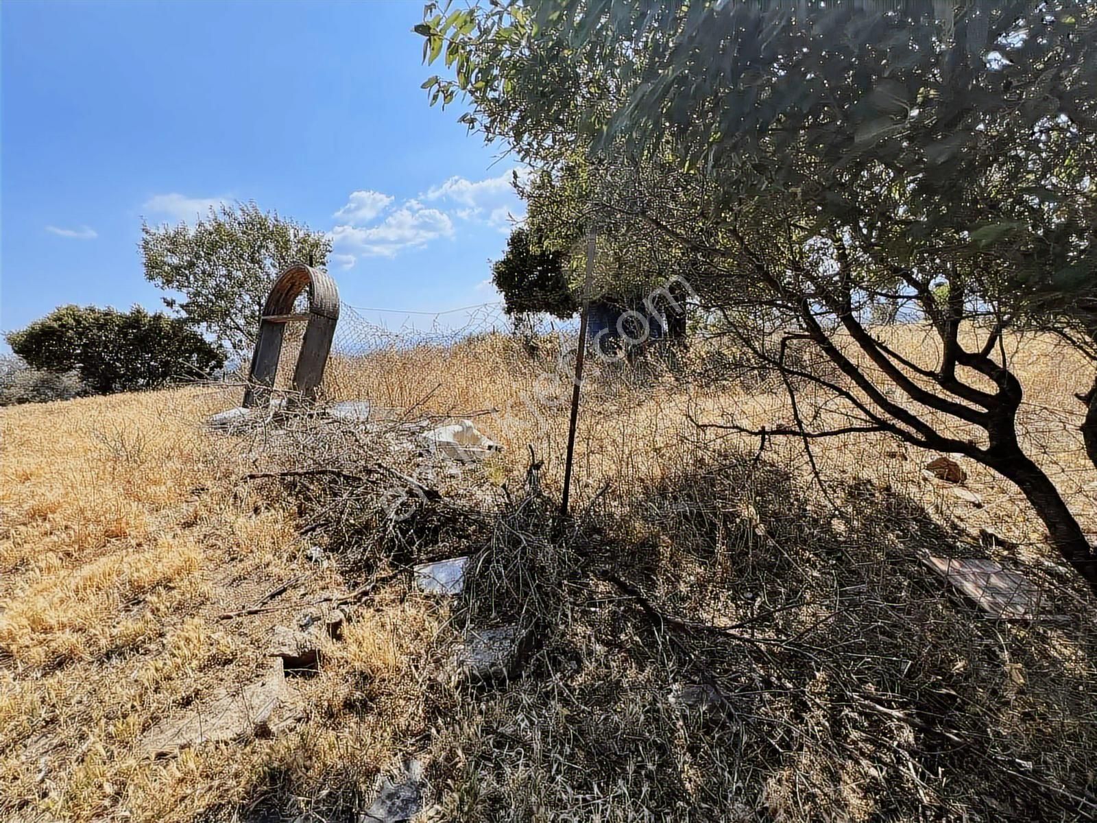 Seferihisar Ulamış' Ta Uygun Fiyatlı Büyük Arazi - Görsel 27