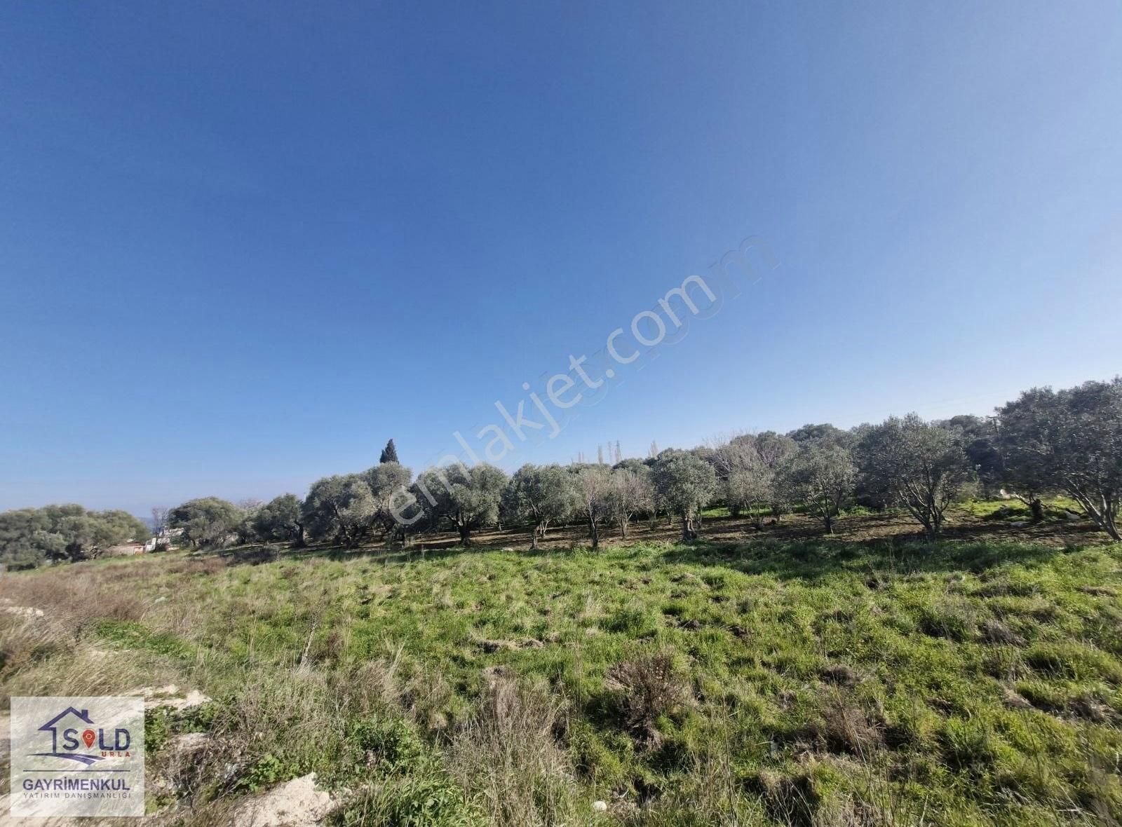Mordoğan Ana Yola Yakın Satılık Tarla - Görsel 6