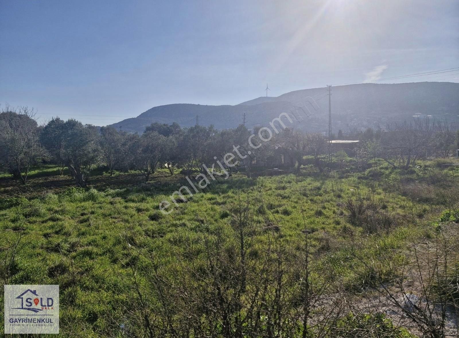 Mordoğan Ana Yola Yakın Satılık Tarla - Görsel 2