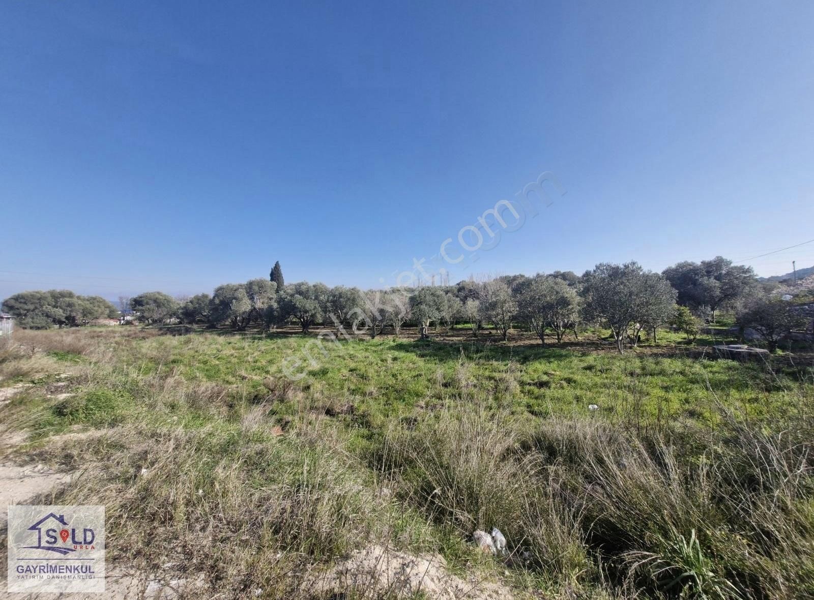 Mordoğan Ana Yola Yakın Satılık Tarla - Görsel 3