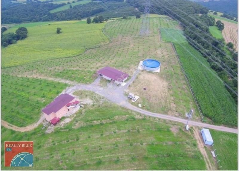 Kandıra Aramanda Satılık 158.532 M2 Ev Ve Depo Ve Ceviz Bahçesi