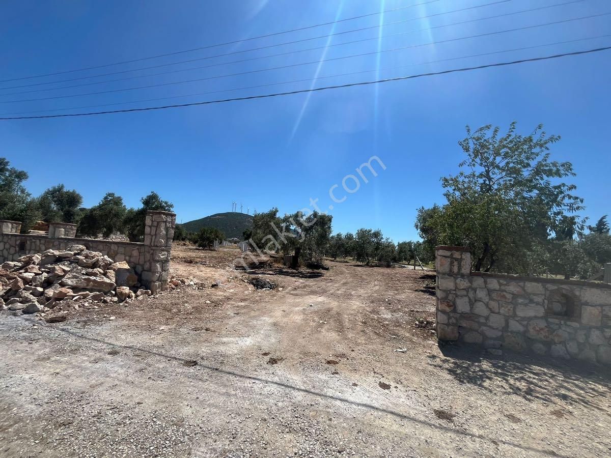 Yeşiltepede Yatırımlık Kooperatif Hissesi - Görsel 7