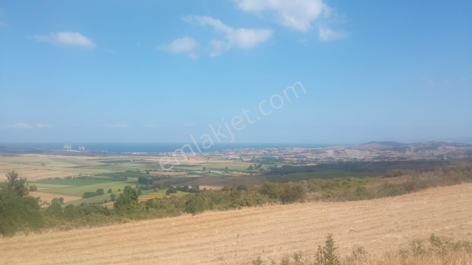 Tekirdağ Süleymanpaşa 27dönüm Satılık Tarla - Görsel 2