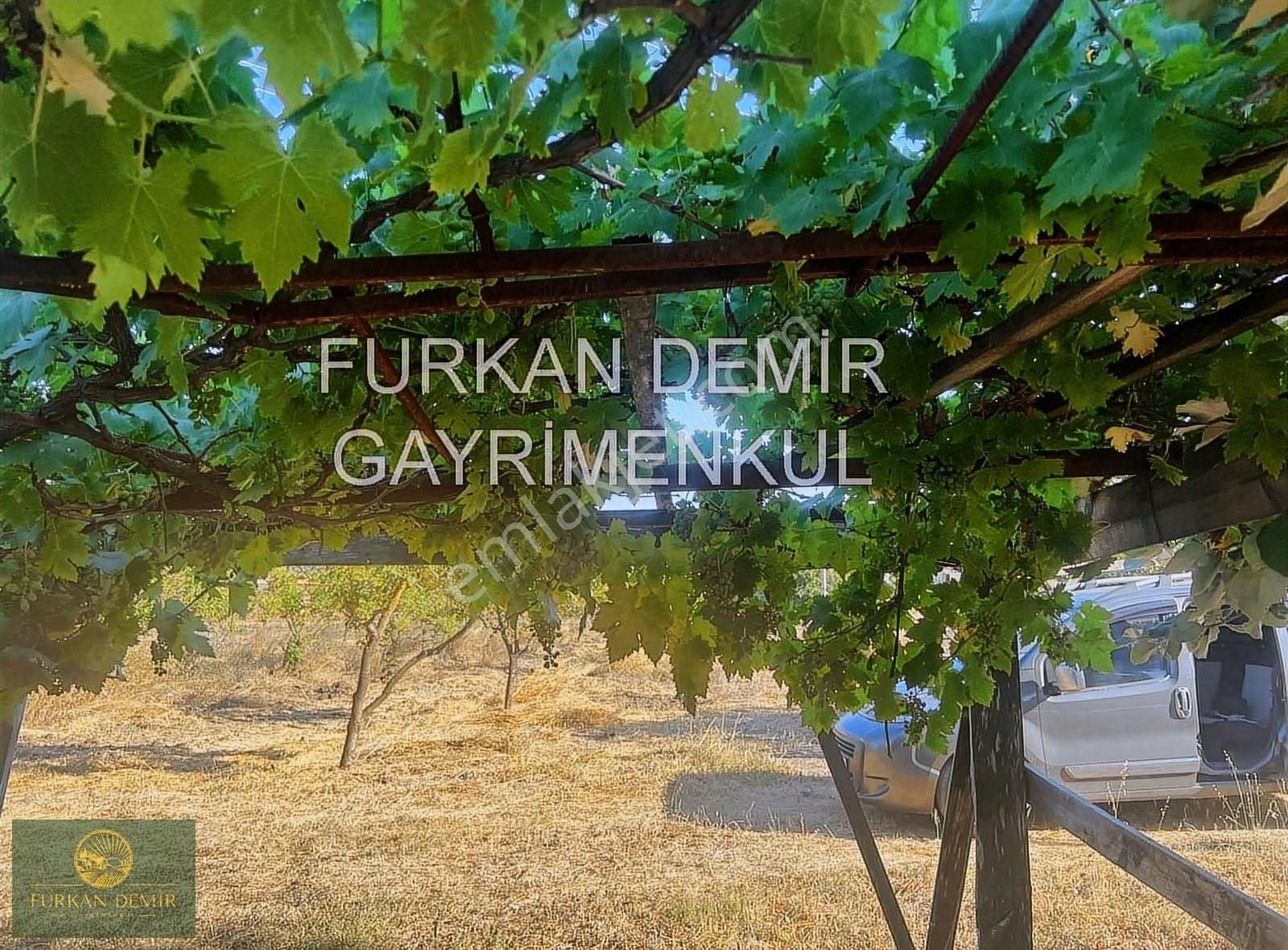 Furkan Demir'den Karamürsel İnebeyli Satılık Ev Ve 6090 M2 Tarla
