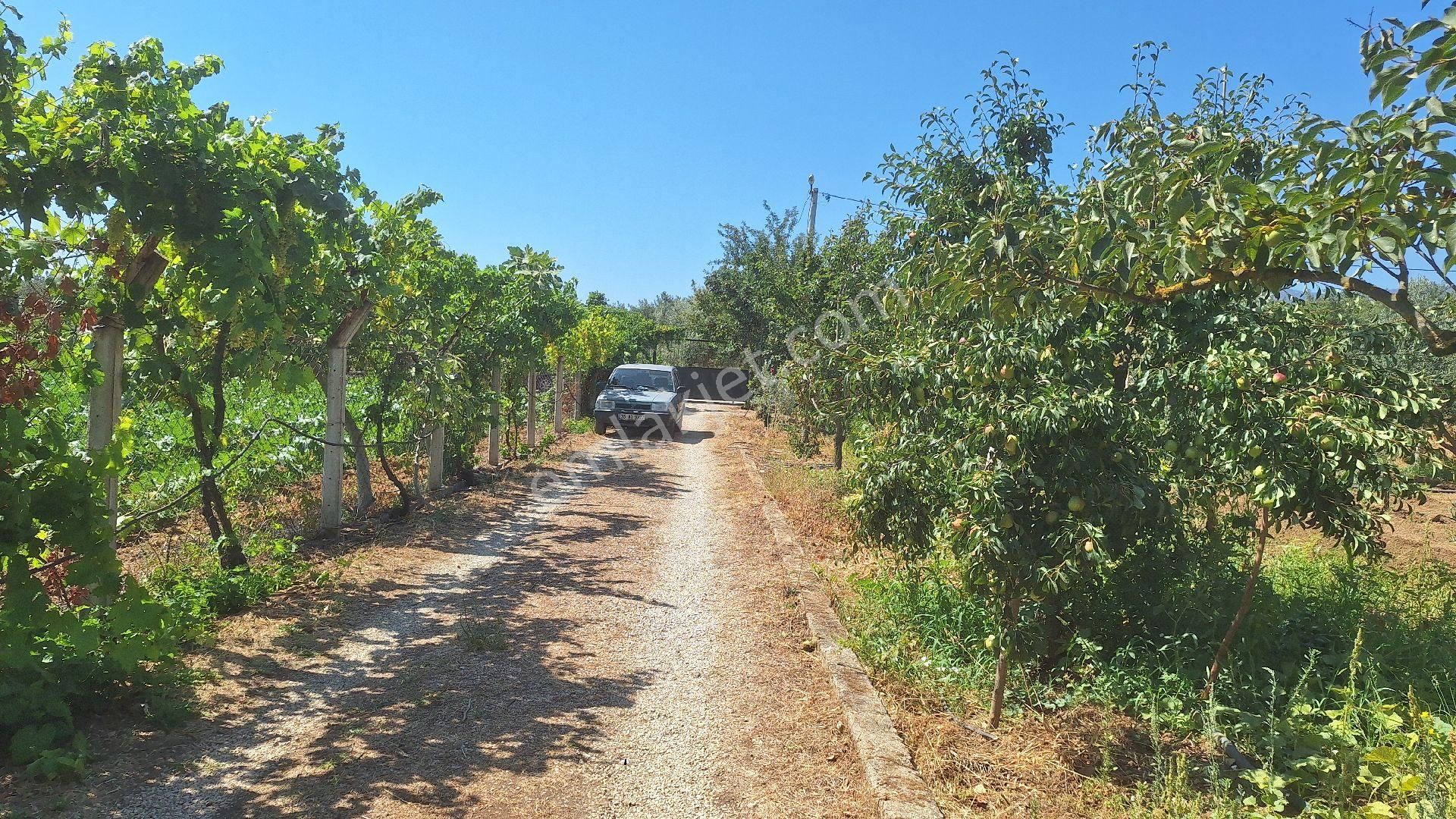 Menderes Ataköyde Bahce - Görsel 6