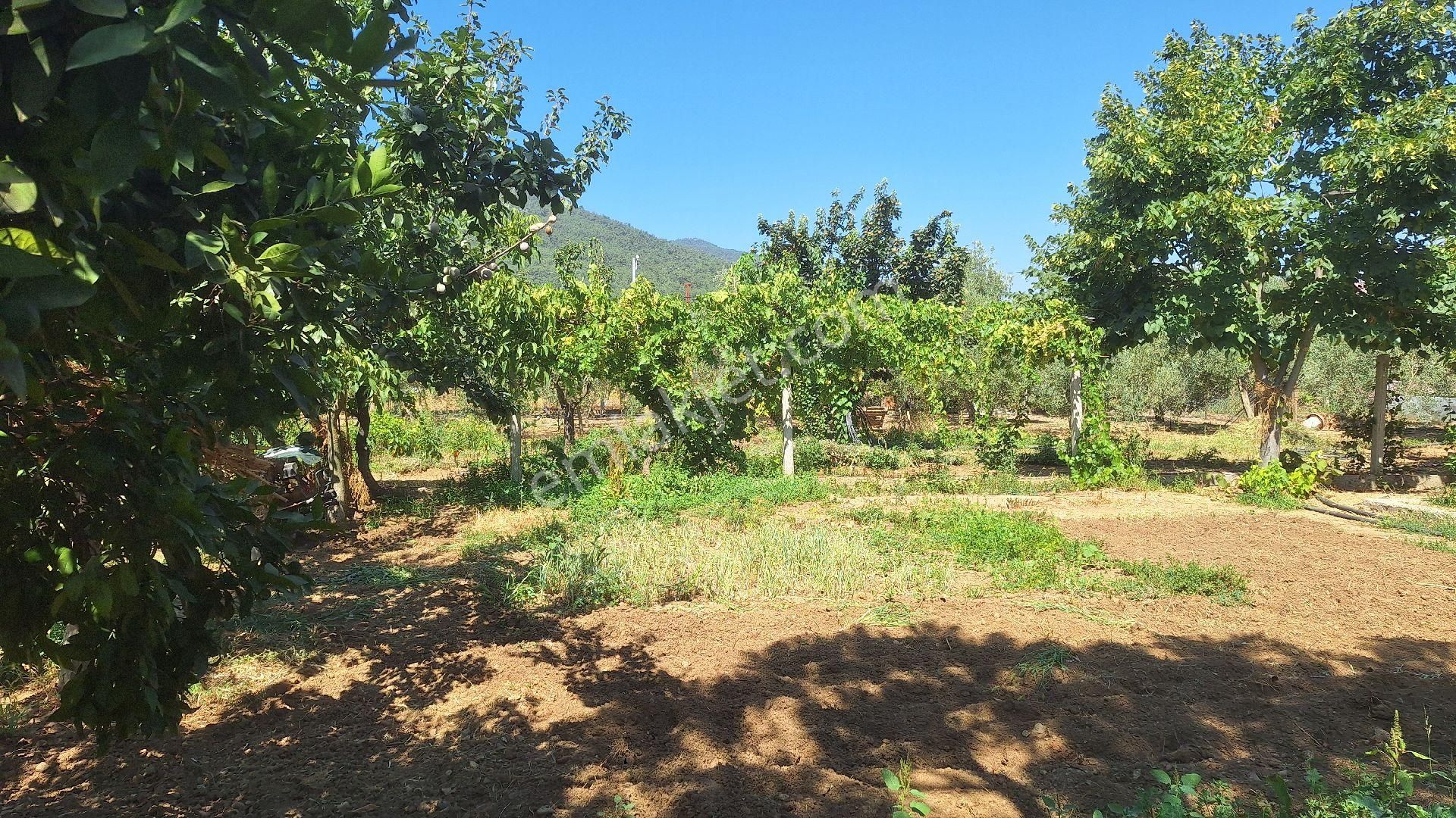 Menderes Ataköyde Bahce - Görsel 10