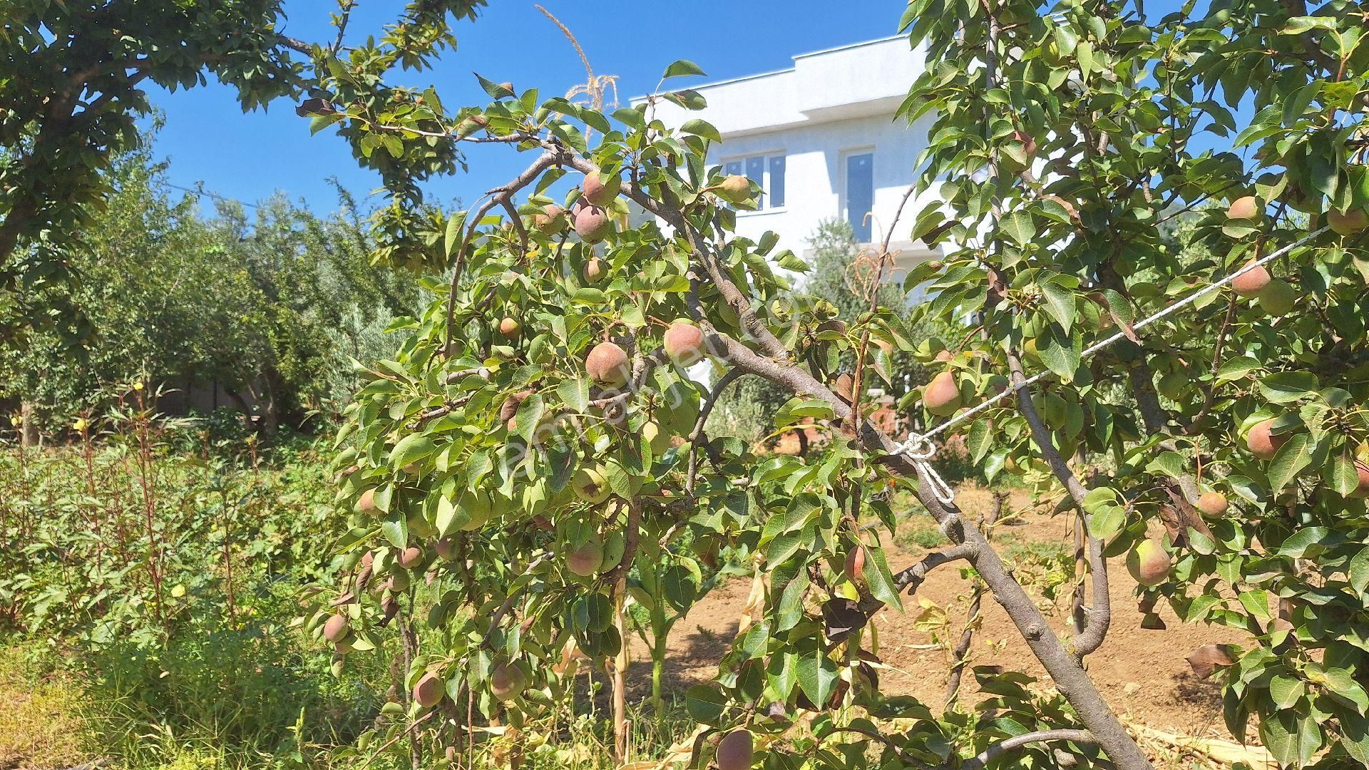 Menderes Ataköyde Bahce - Görsel 2