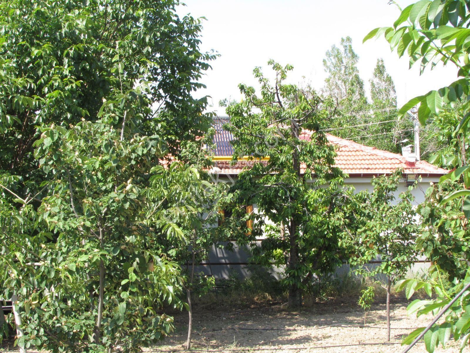 Halkapınar İvrizde 107770 Sokakta 114 Ada 64 Parselde 5 Evlek Bakımlı Bahçe Ve Evi - Görsel 5
