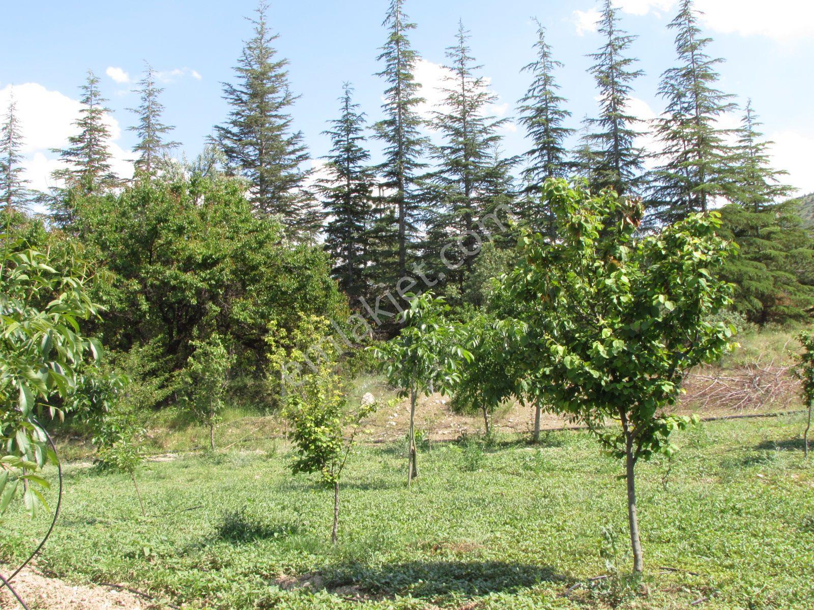 Halkapınar İvrizde 107770 Sokakta 114 Ada 64 Parselde 5 Evlek Bakımlı Bahçe Ve Evi - Görsel 8