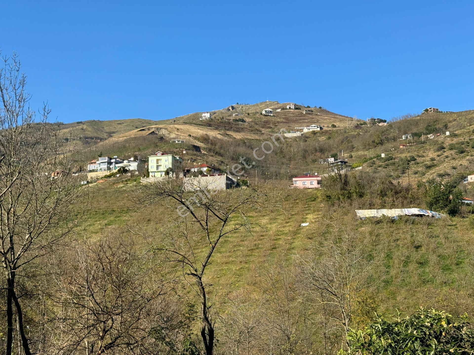 Trabzon Akçaabat Derecik Mahallesi Güney Mevki Satılık Arsa - Görsel 22