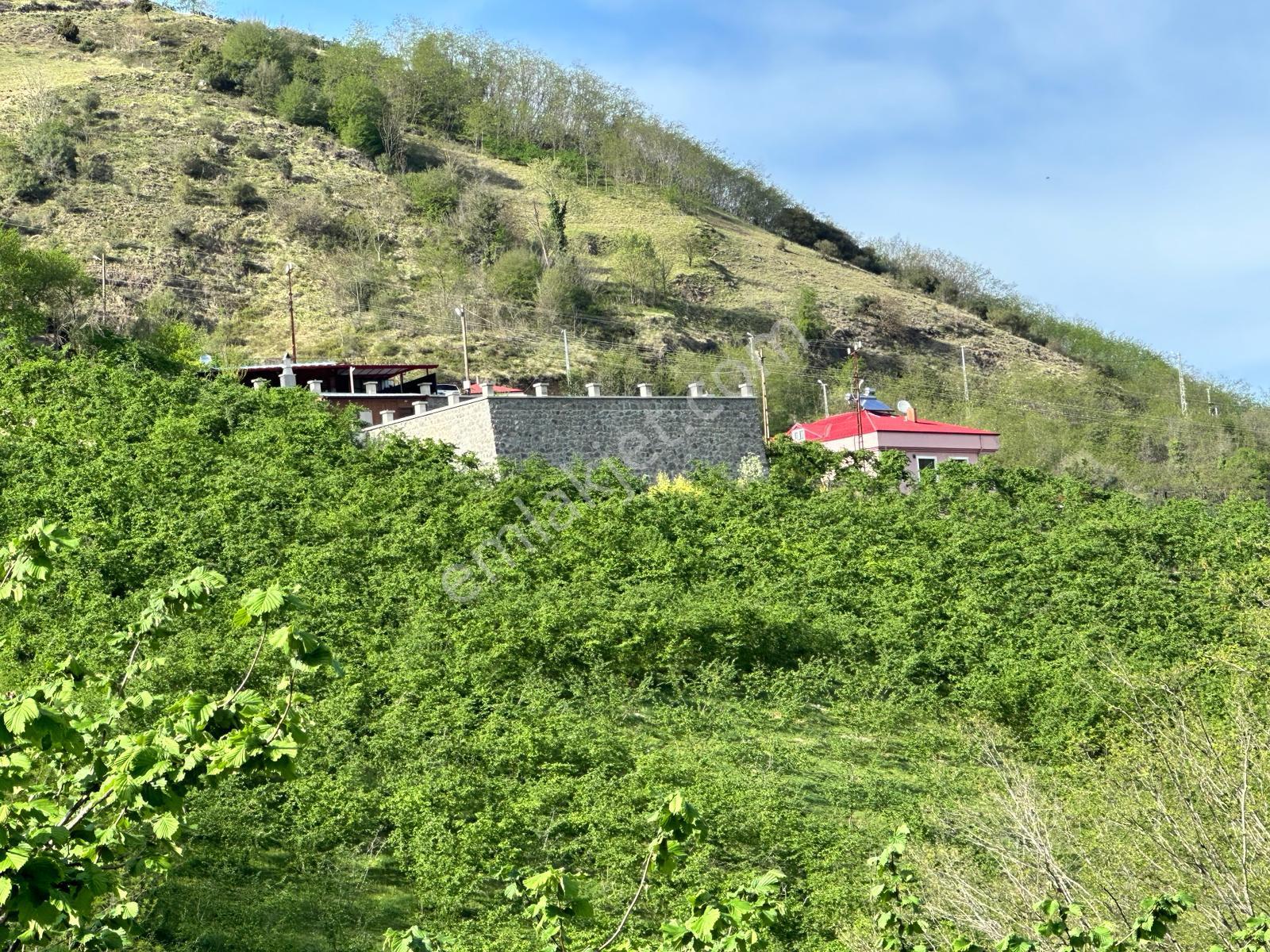 Trabzon Akçaabat Derecik Mahallesi Güney Mevki Satılık Arsa - Görsel 19