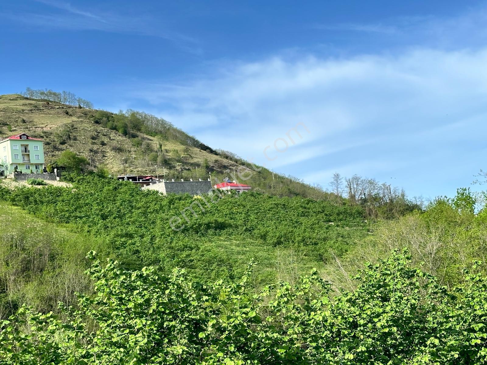 Trabzon Akçaabat Derecik Mahallesi Güney Mevki Satılık Arsa - Görsel 20