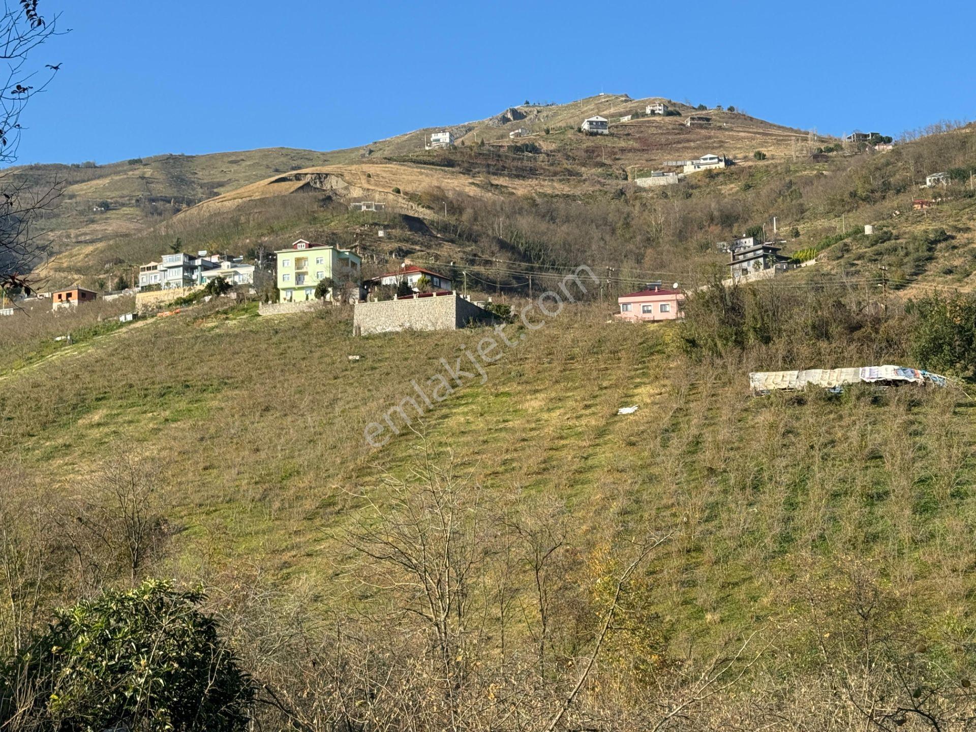 Trabzon Akçaabat Derecik Mahallesi Güney Mevki Satılık Arsa - Görsel 26