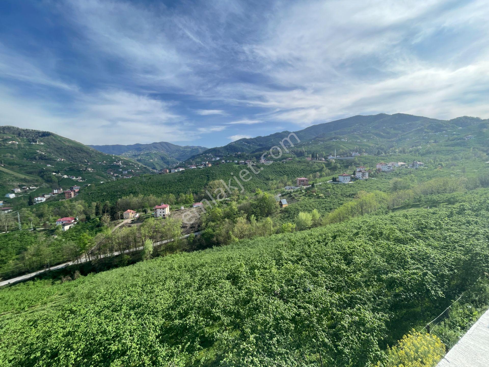 Trabzon Akçaabat Derecik Mahallesi Güney Mevki Satılık Arsa - Görsel 16