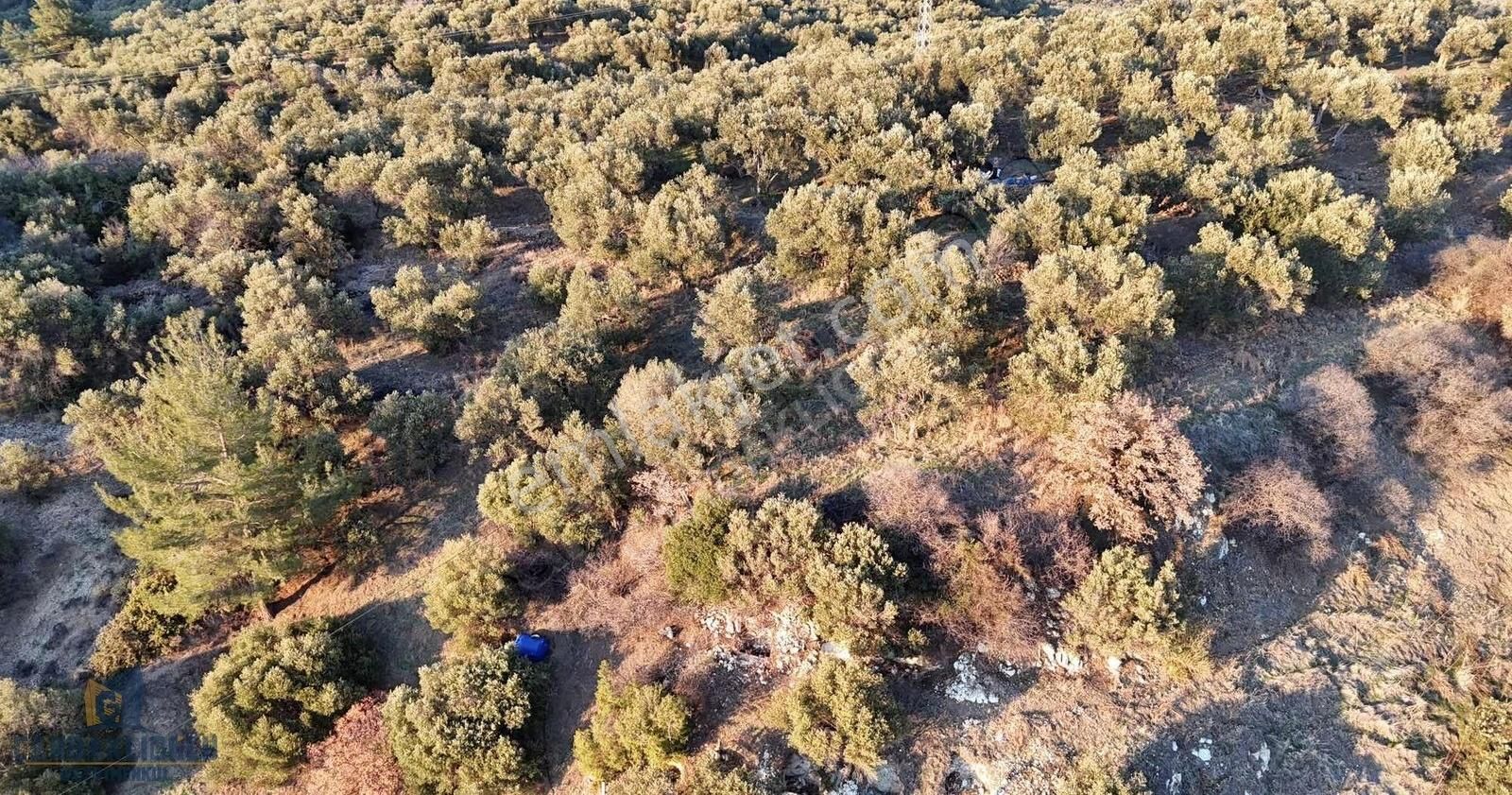 Ahmetçe'de Denize 50 Metre Asfalt Yolun Dibinde Leb-i Derya
