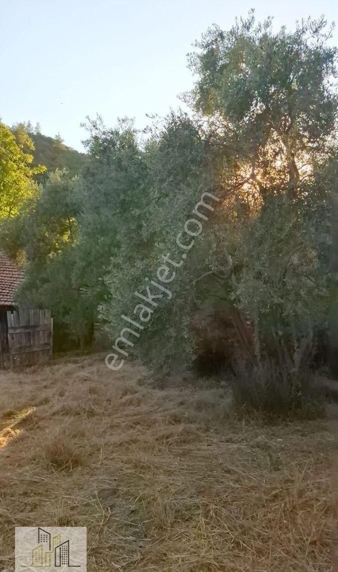 Kapubağ'da Köy İçi İmarlı Arsa - Görsel 5