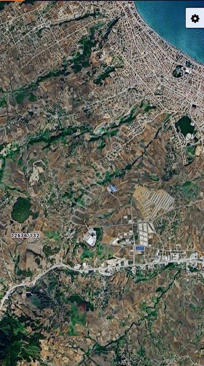Batı Çevre Yoluna Yakın..... Tarlanın Resmi Yolu Vardır... - Görsel 5