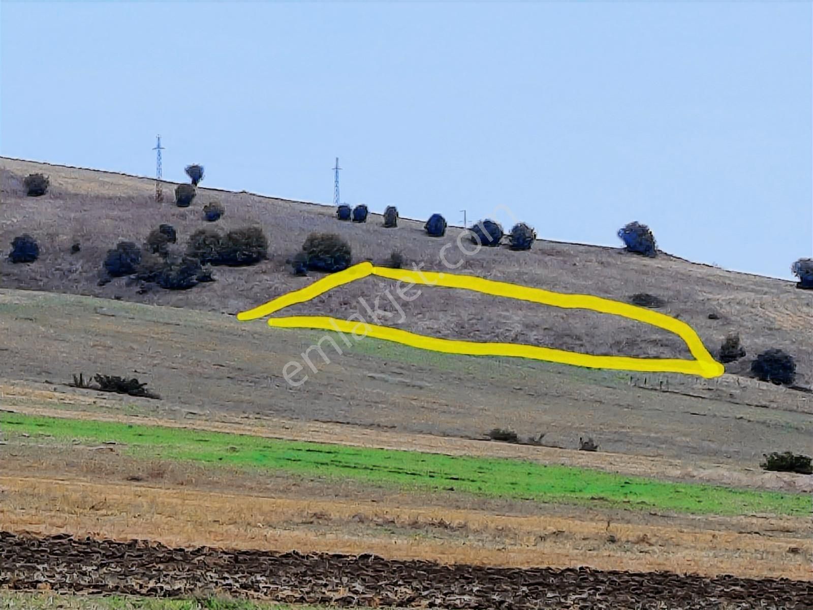 Batı Çevre Yoluna Yakın..... Tarlanın Resmi Yolu Vardır... - Görsel 3