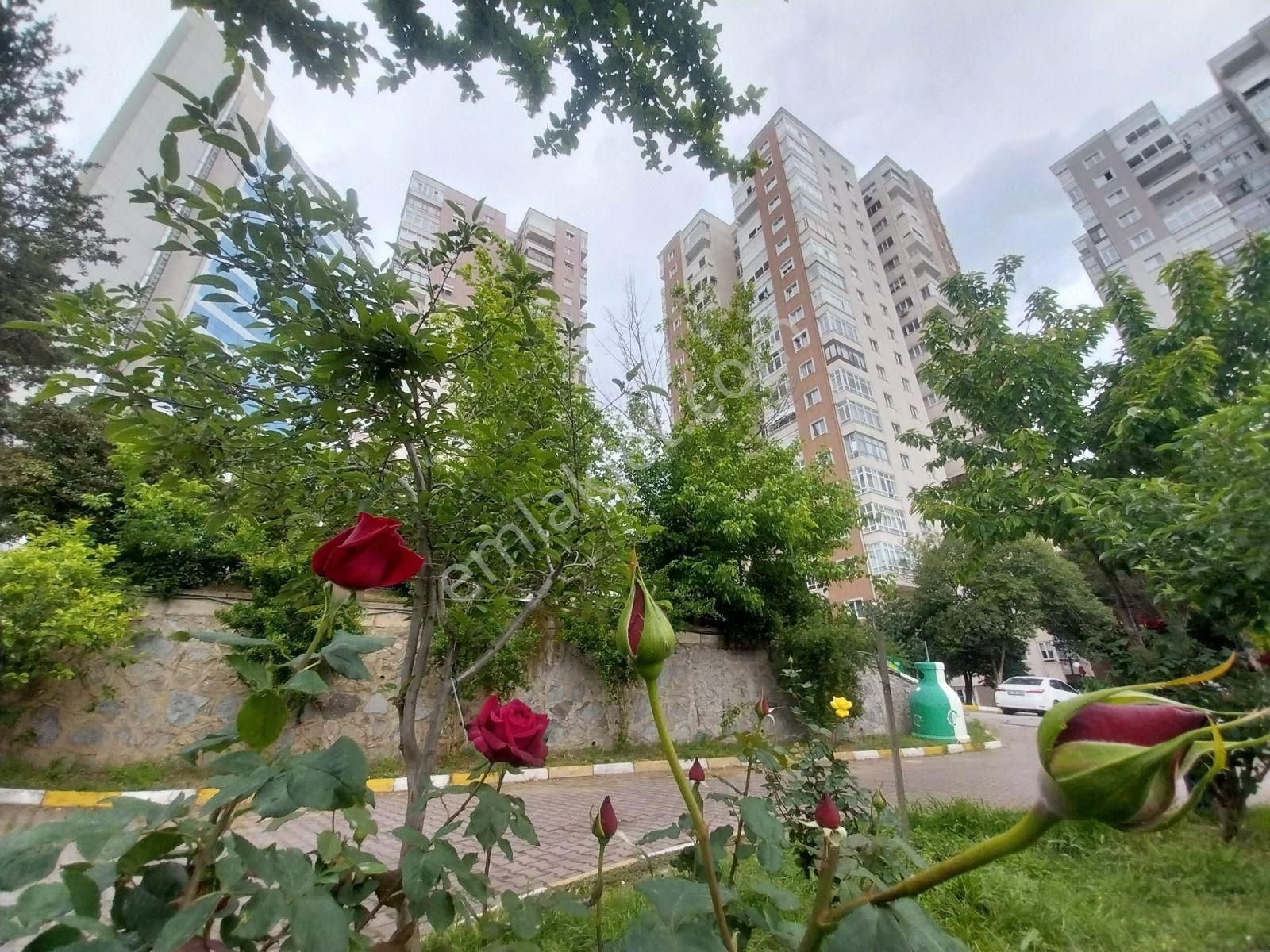 İçerenköy'de Bostancı Köprüsüne Yakın Eşyalı Kiralık 2+1 Daire