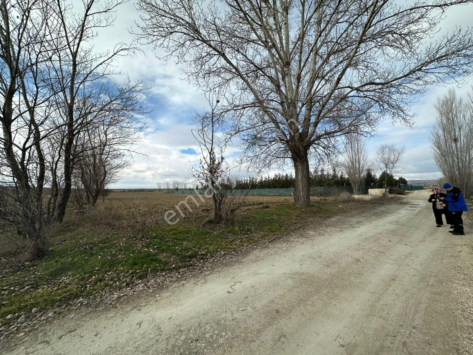 Öztelden Yukarısöğütönü 3.030 M2 Satılık Müstakil Tapupulu Tarla - Görsel 6