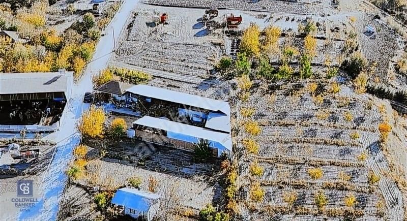 Bozkurt Çambaşı Mah. 773 M² Satılık Besi Çiftliği