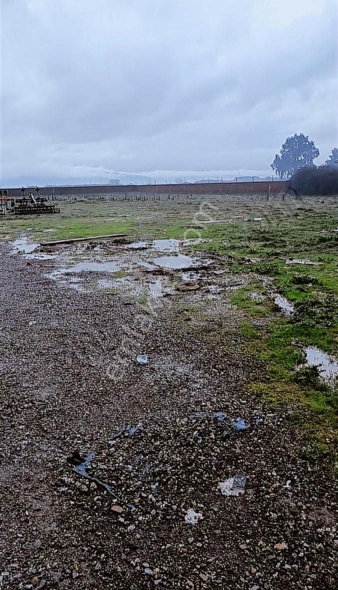 Torbalı Subaşı Da Satılık Arsa - Görsel 2