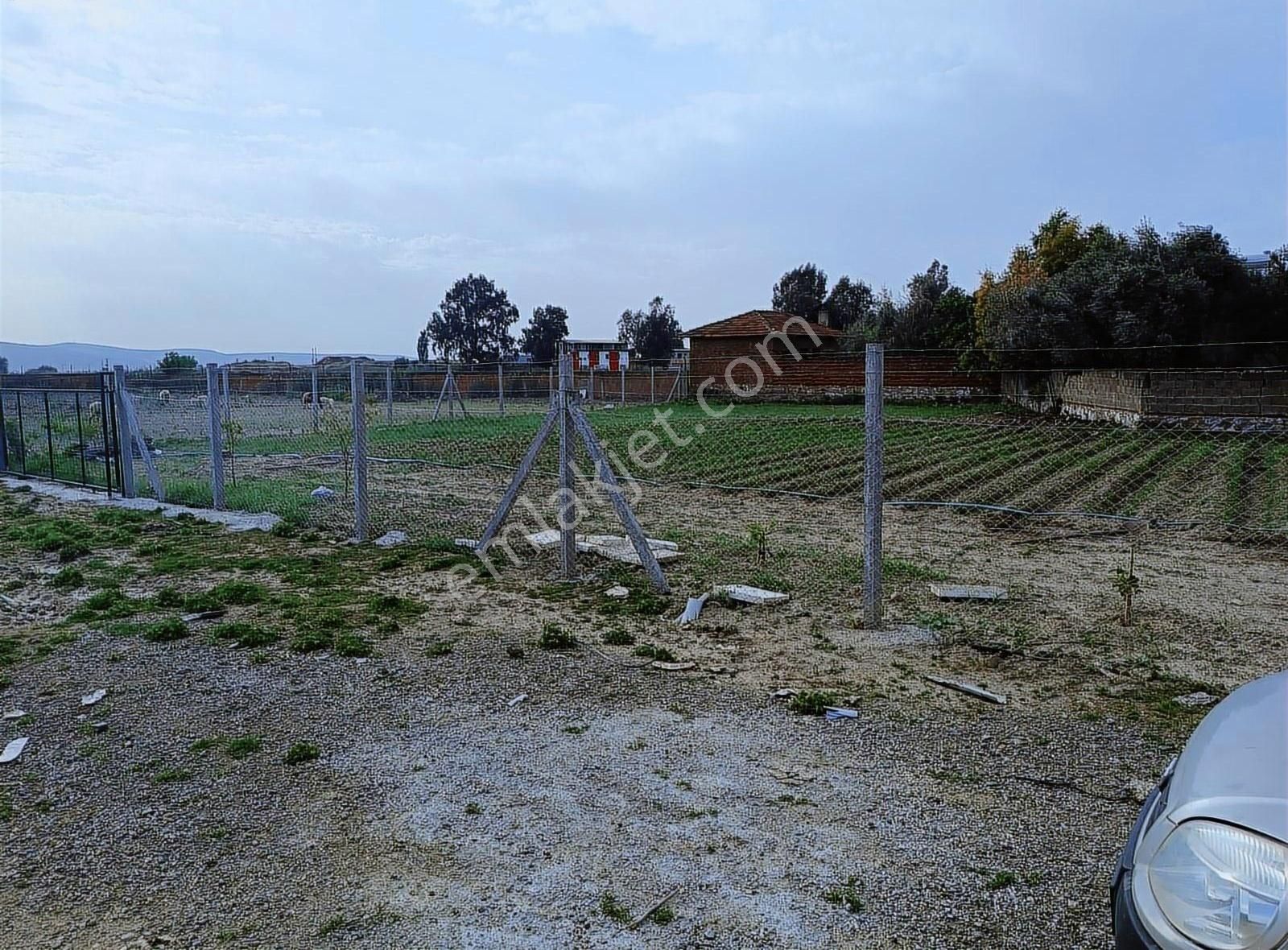 Torbalı Pamukyazı Satılık Arsa - Görsel 3