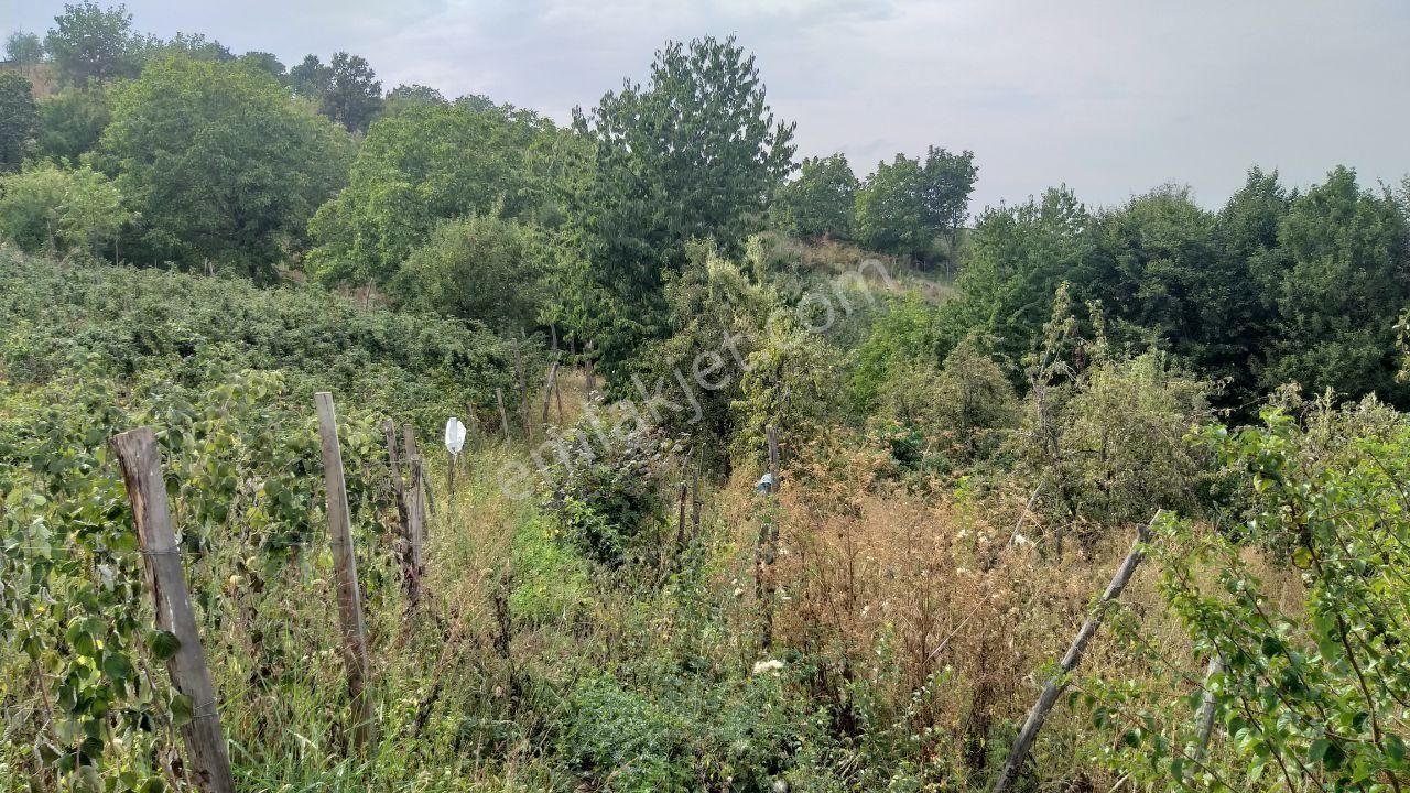 Bursa Kestel Lütfiye Mah Ahududuekili Satılık 1674m2 Hobibahçesi - Görsel 5