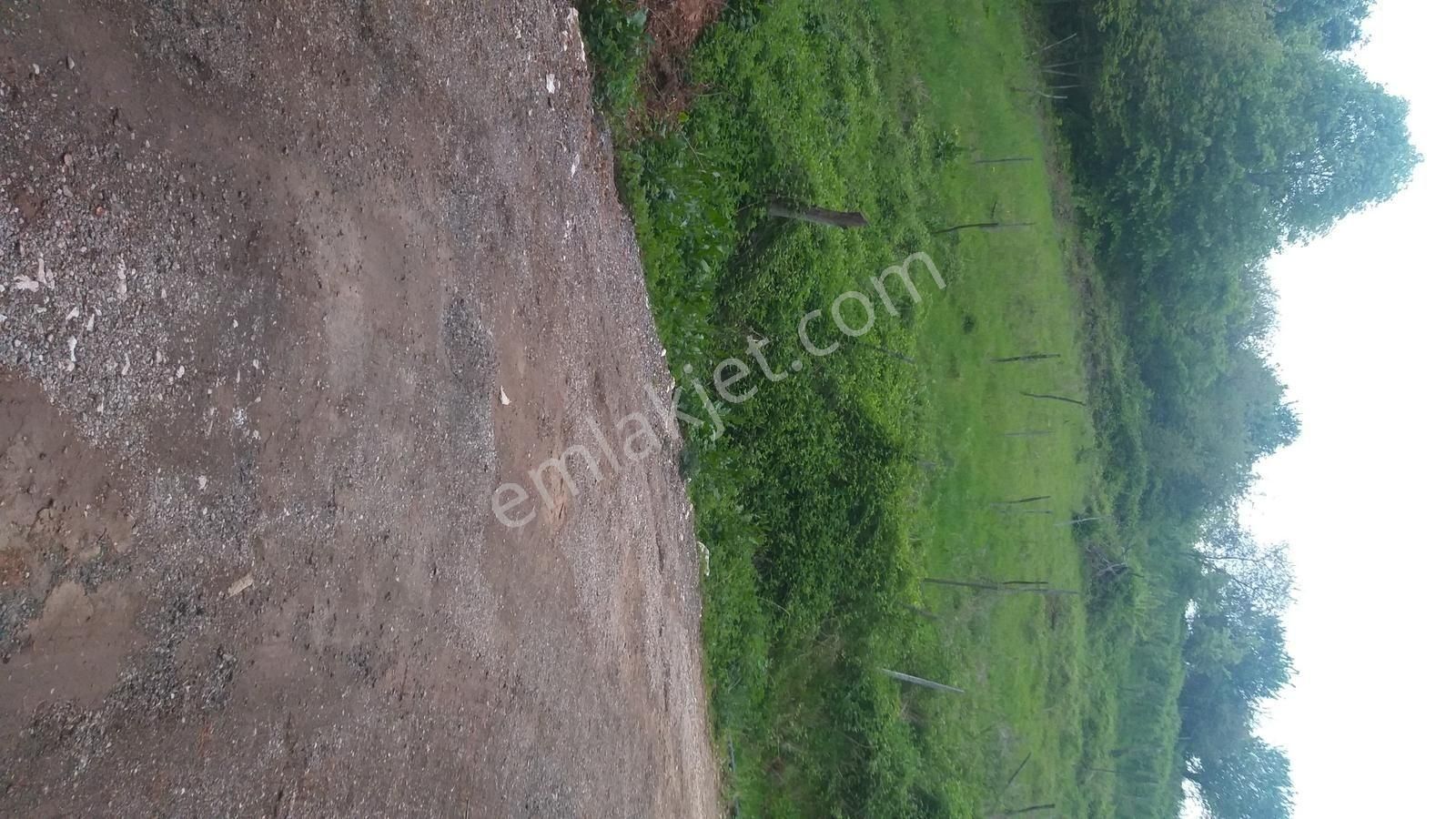 Bursa Kestel Lütfiye Mah Ahududuekili Satılık 1674m2 Hobibahçesi - Görsel 29