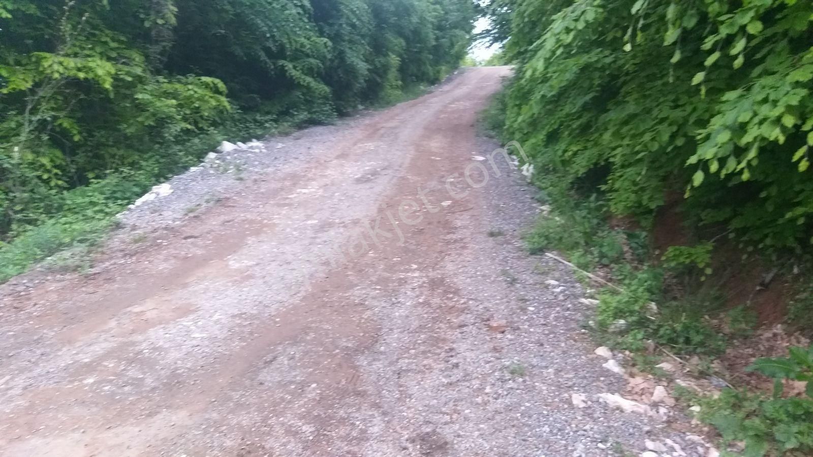 Bursa Kestel Lütfiye Mah Ahududuekili Satılık 1674m2 Hobibahçesi - Görsel 12