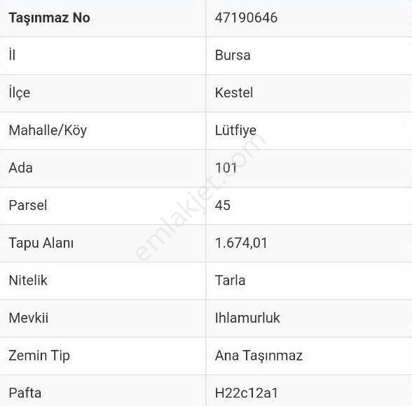 Bursa Kestel Lütfiye Mah Ahududuekili Satılık 1674m2 Hobibahçesi - Görsel 20
