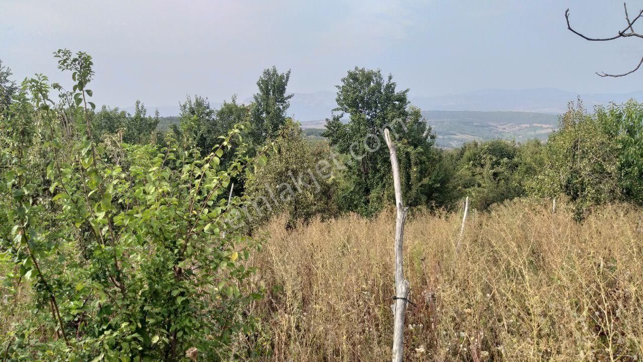 Bursa Kestel Lütfiye Mah Ahududuekili Satılık 1674m2 Hobibahçesi - Görsel 22