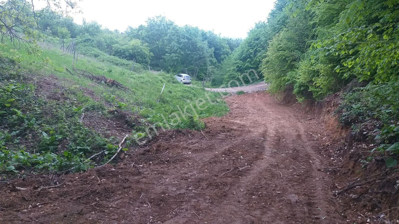 Bursa Kestel Lütfiye Mah Ahududuekili Satılık 1674m2 Hobibahçesi - Görsel 4