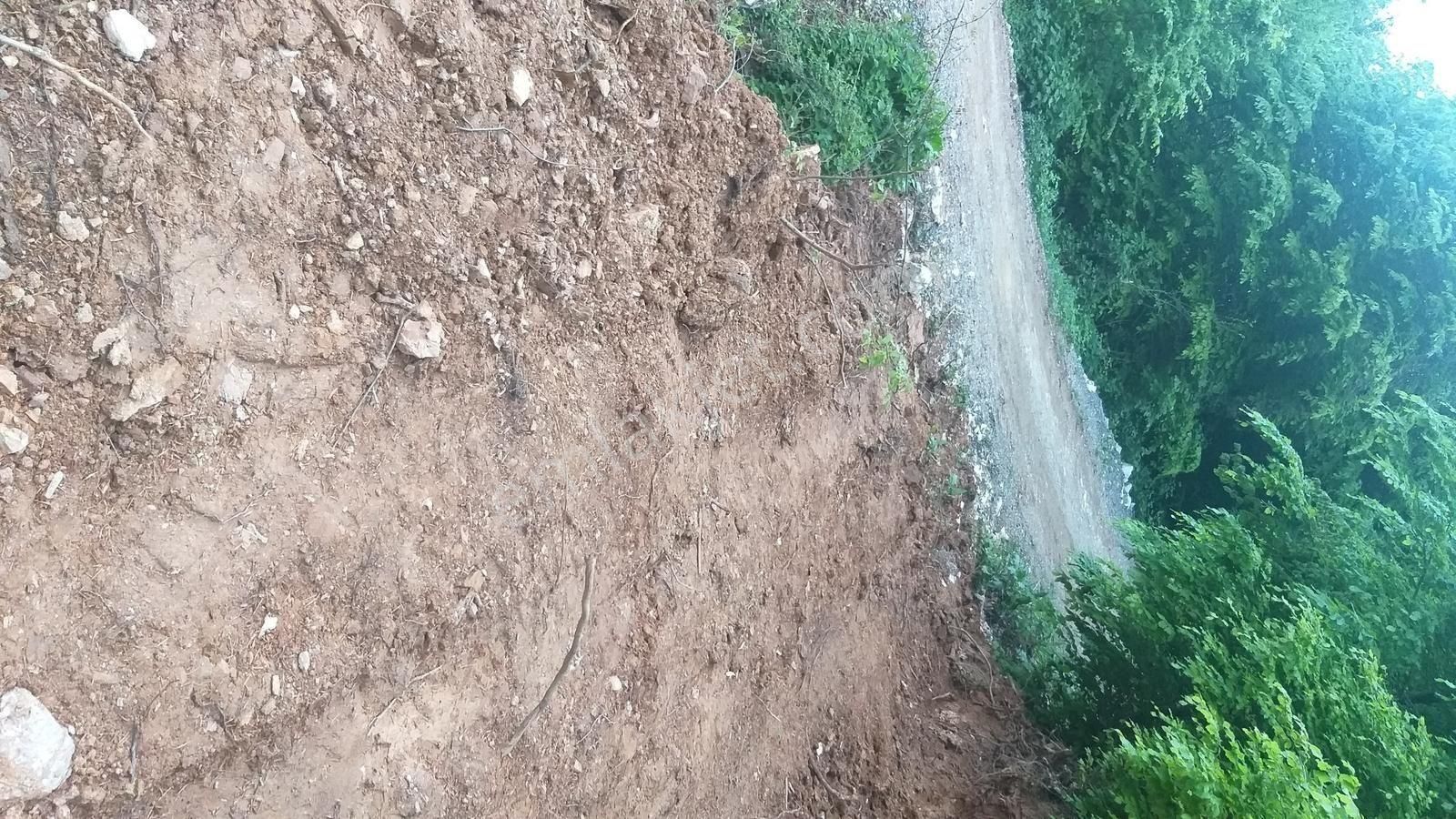 Bursa Kestel Lütfiye Mah Ahududuekili Satılık 1674m2 Hobibahçesi - Görsel 19