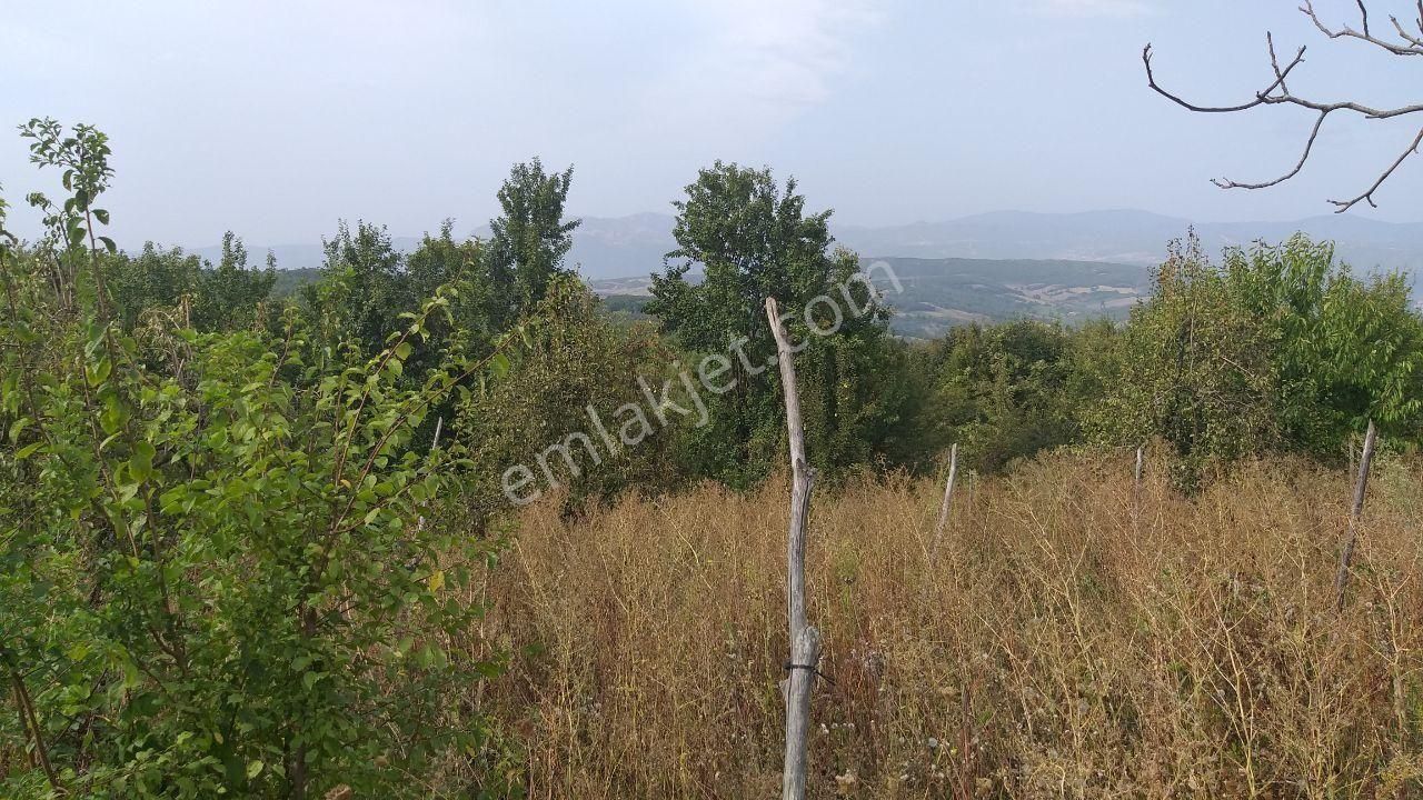 Bursa Kestel Lütfiye Mah Ahududuekili Satılık 1674m2 Hobibahçesi - Görsel 26