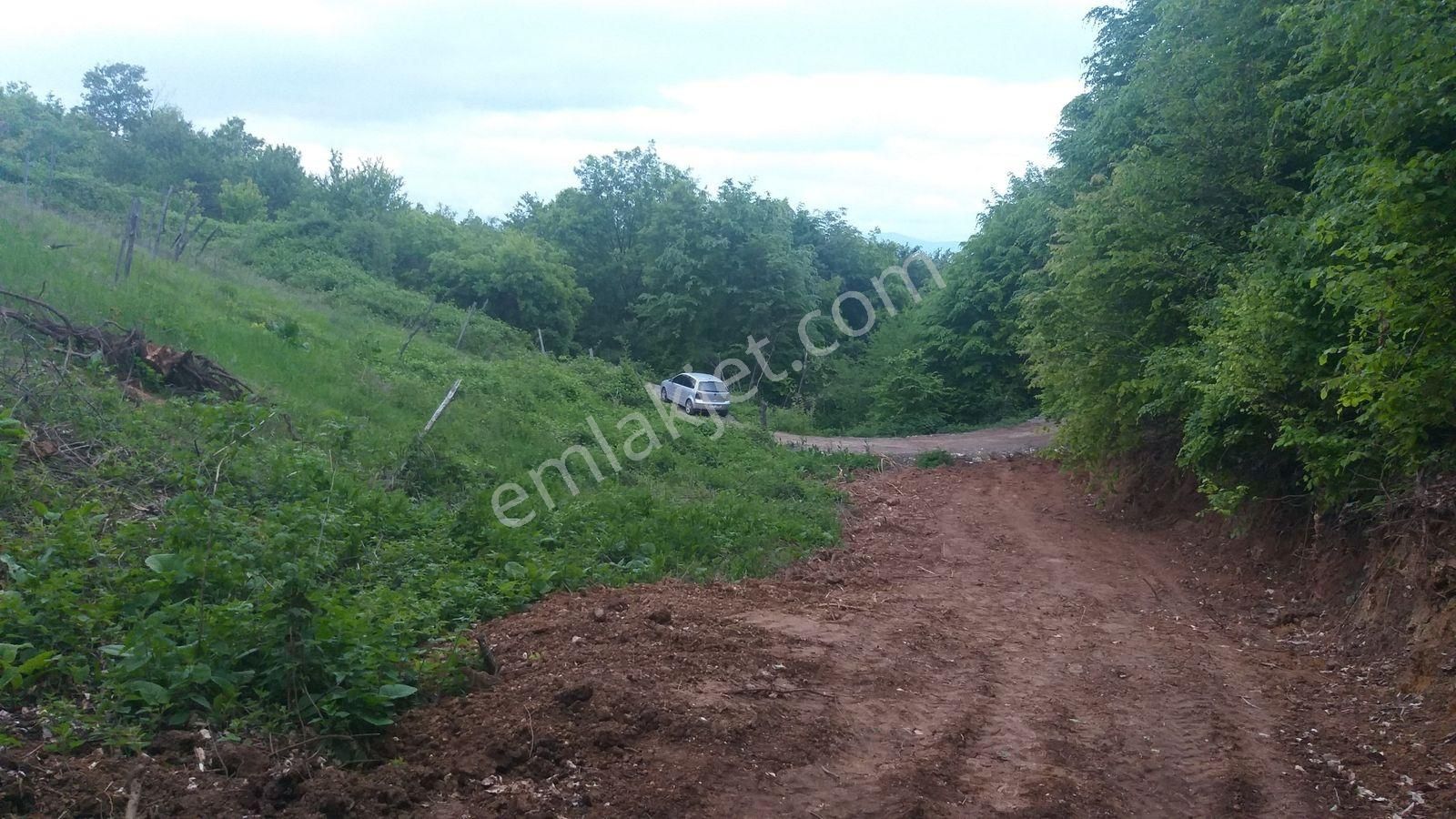 Bursa Kestel Lütfiye Mah Ahududuekili Satılık 1674m2 Hobibahçesi - Görsel 23