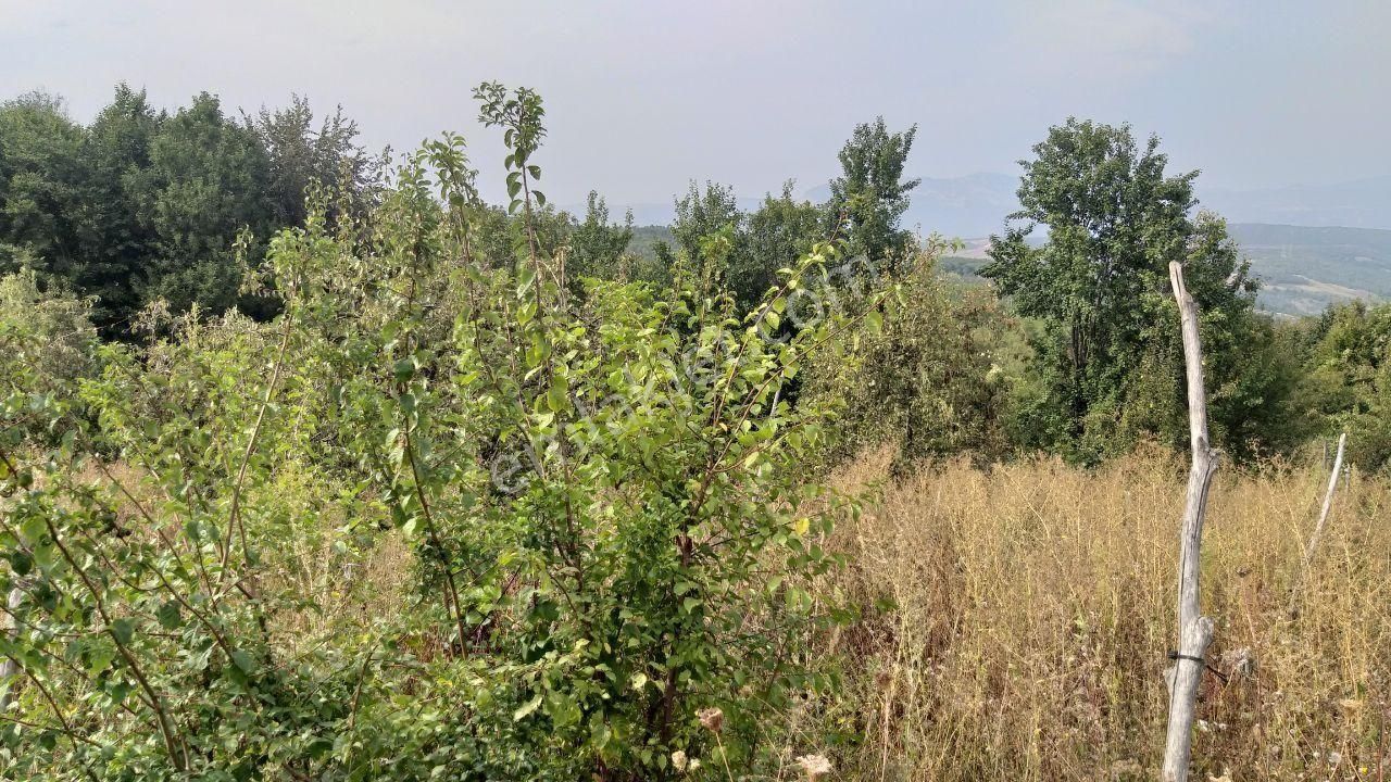 Bursa Kestel Lütfiye Mah Ahududuekili Satılık 1674m2 Hobibahçesi - Görsel 30