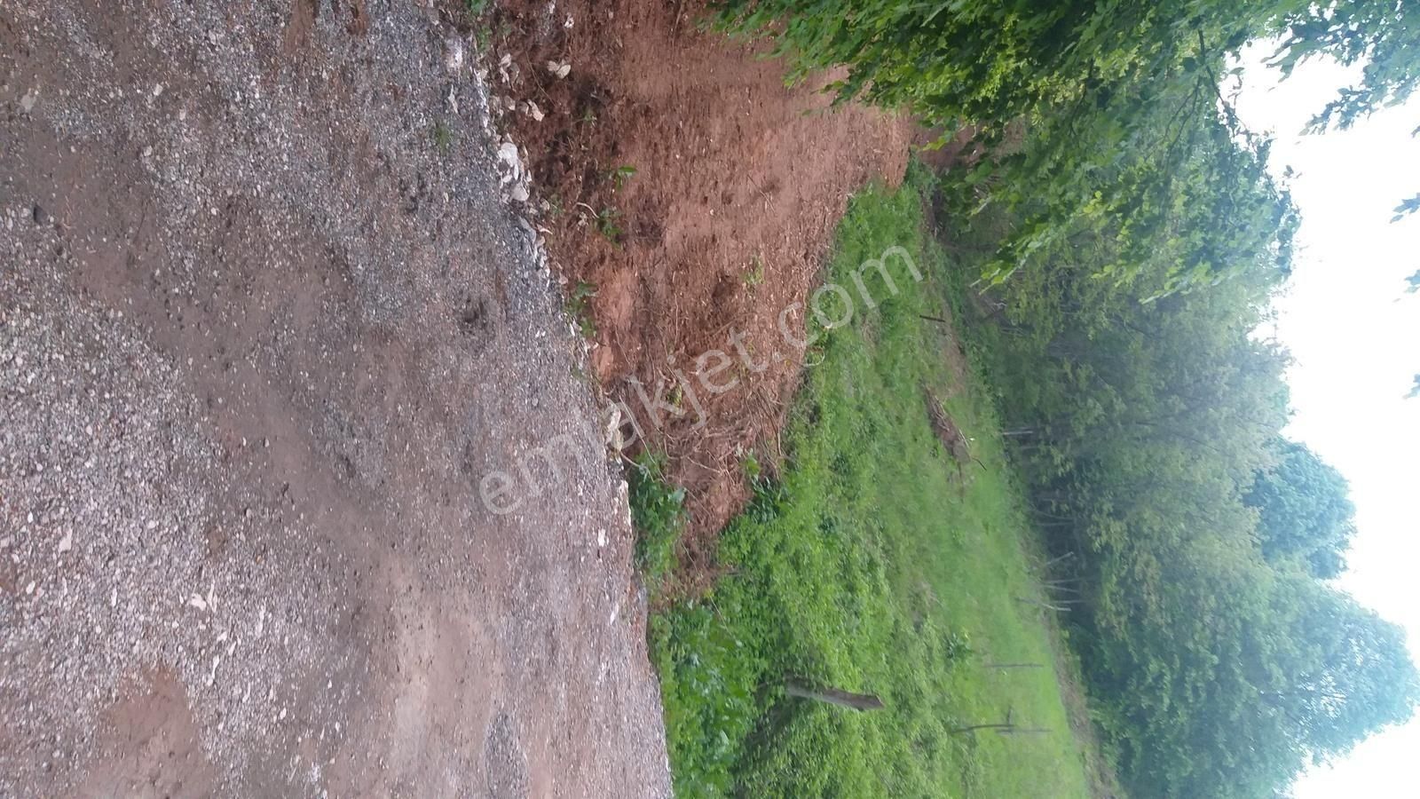 Bursa Kestel Lütfiye Mah Ahududuekili Satılık 1674m2 Hobibahçesi - Görsel 17