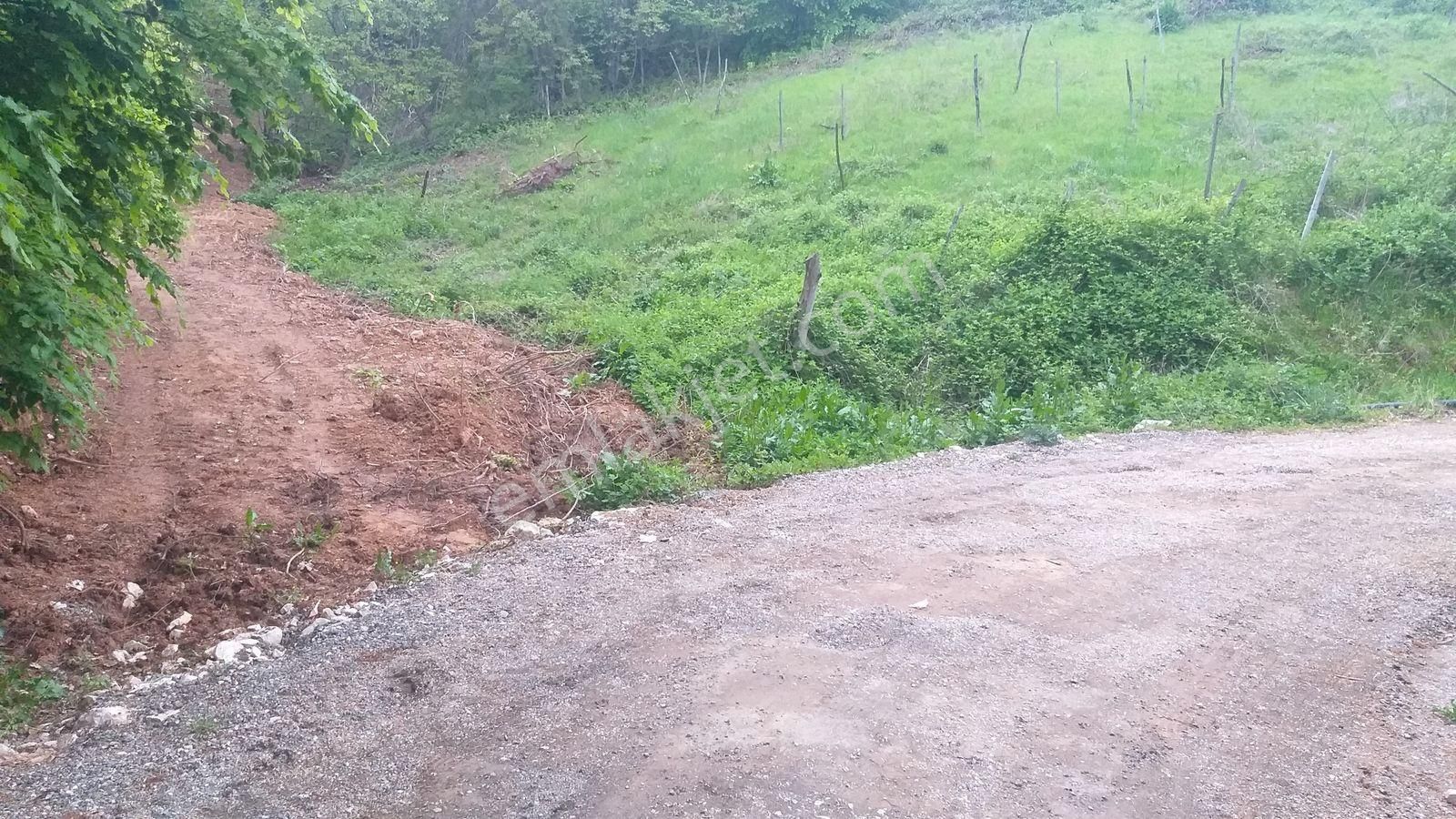 Bursa Kestel Lütfiye Mah Ahududuekili Satılık 1674m2 Hobibahçesi - Görsel 28